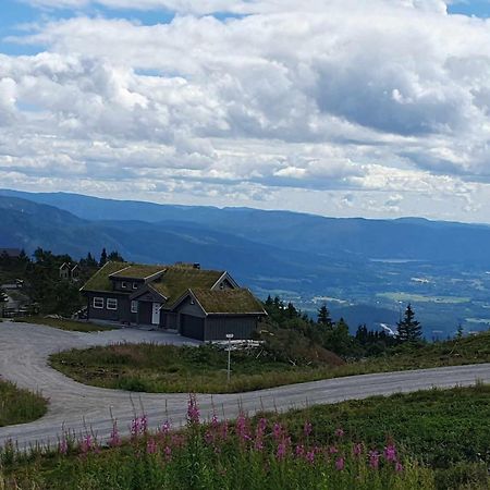 Ski In-Out At Lifjell-Mountain Cabin With Majestic Views Close To Bo Sommarand Villa Bo (Telemark) Exterior photo