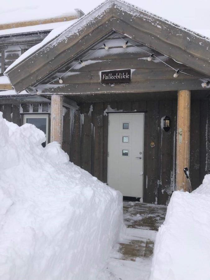 Ski In-Out At Lifjell-Mountain Cabin With Majestic Views Close To Bo Sommarand Villa Bo (Telemark) Exterior photo