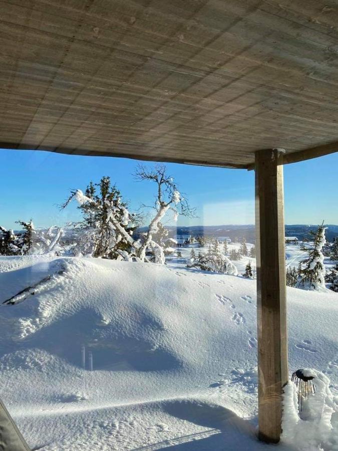 Ski In-Out At Lifjell-Mountain Cabin With Majestic Views Close To Bo Sommarand Villa Bo (Telemark) Exterior photo