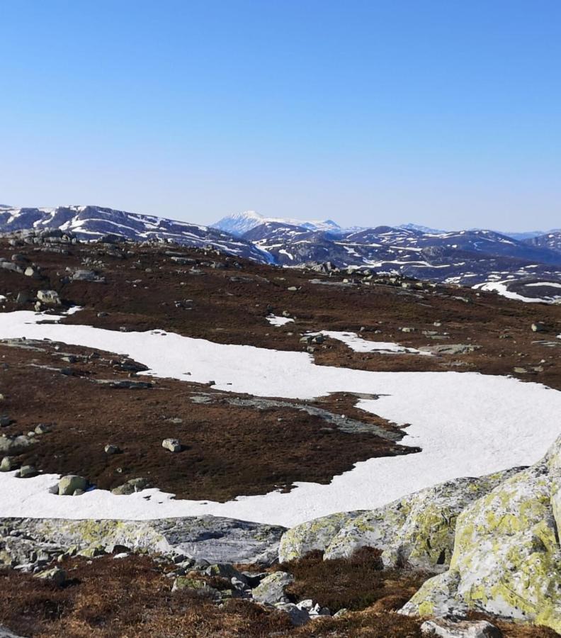 Ski In-Out At Lifjell-Mountain Cabin With Majestic Views Close To Bo Sommarand Villa Bo (Telemark) Exterior photo