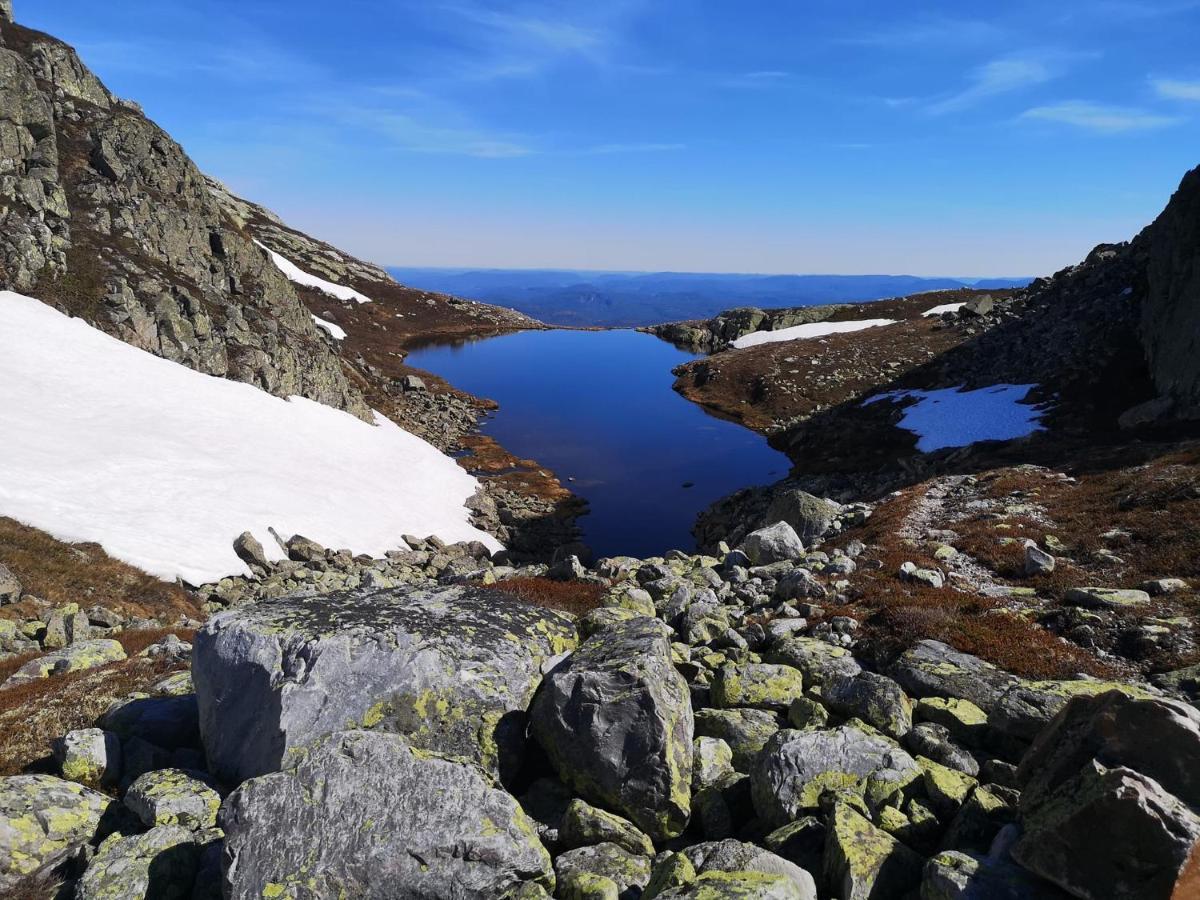 Ski In-Out At Lifjell-Mountain Cabin With Majestic Views Close To Bo Sommarand Villa Bo (Telemark) Exterior photo