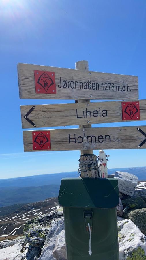 Ski In-Out At Lifjell-Mountain Cabin With Majestic Views Close To Bo Sommarand Villa Bo (Telemark) Exterior photo