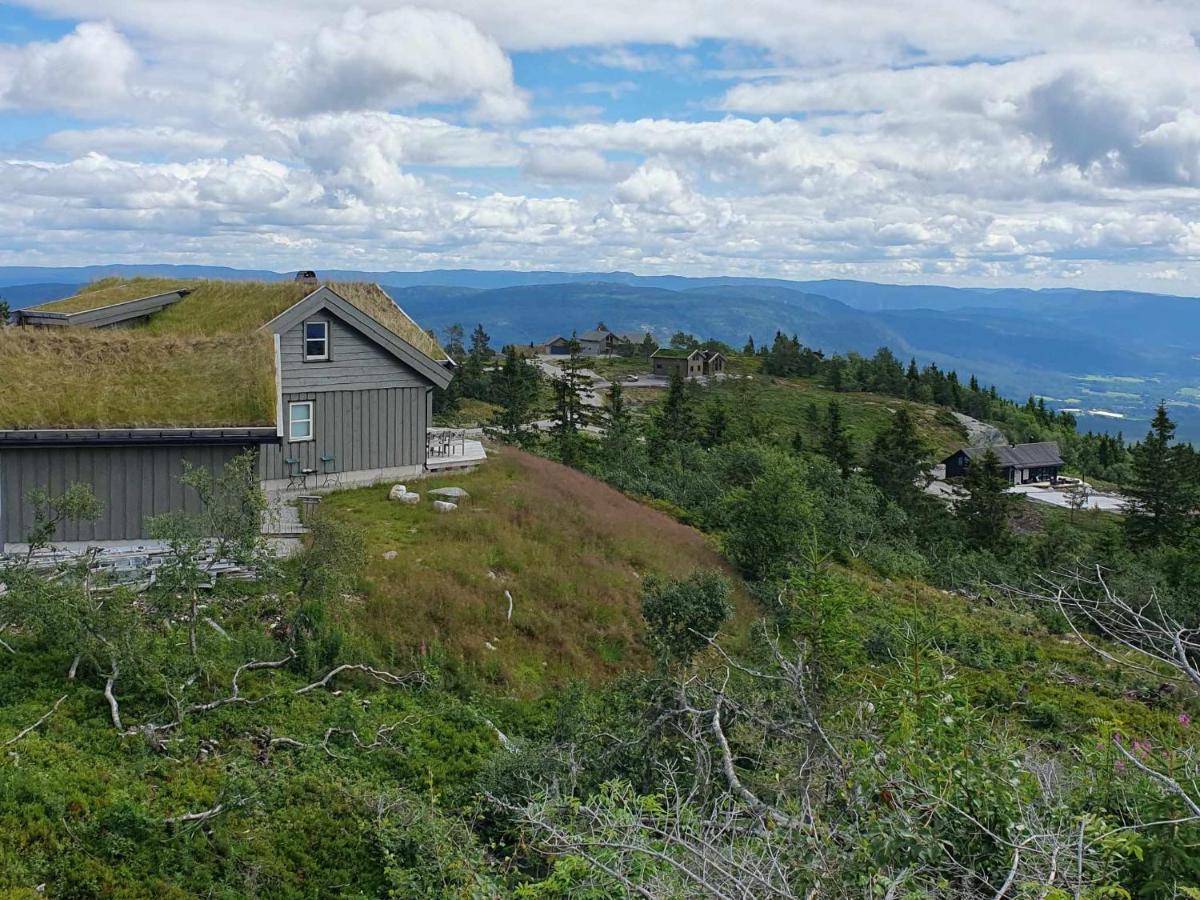 Ski In-Out At Lifjell-Mountain Cabin With Majestic Views Close To Bo Sommarand Villa Bo (Telemark) Exterior photo